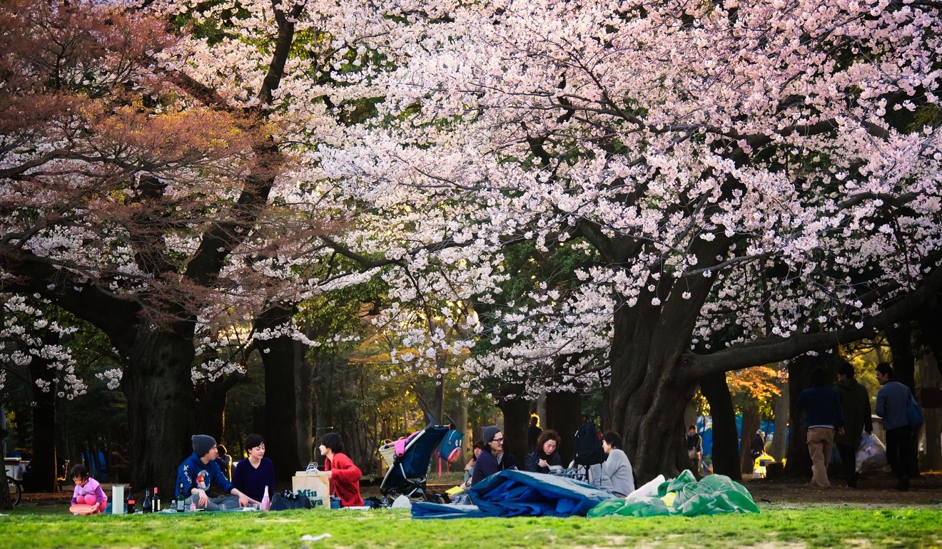 日本東京慳錢旅遊方法-景點活動